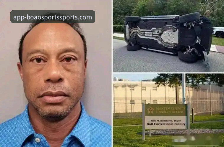 老虎伍兹药物驾驶事件全面解析：从事故细节到职业未来的深度分析